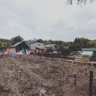 Фундаменты на забивных ЖБ сваях